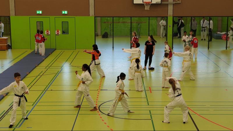 Taekwondo Turnier in Rees